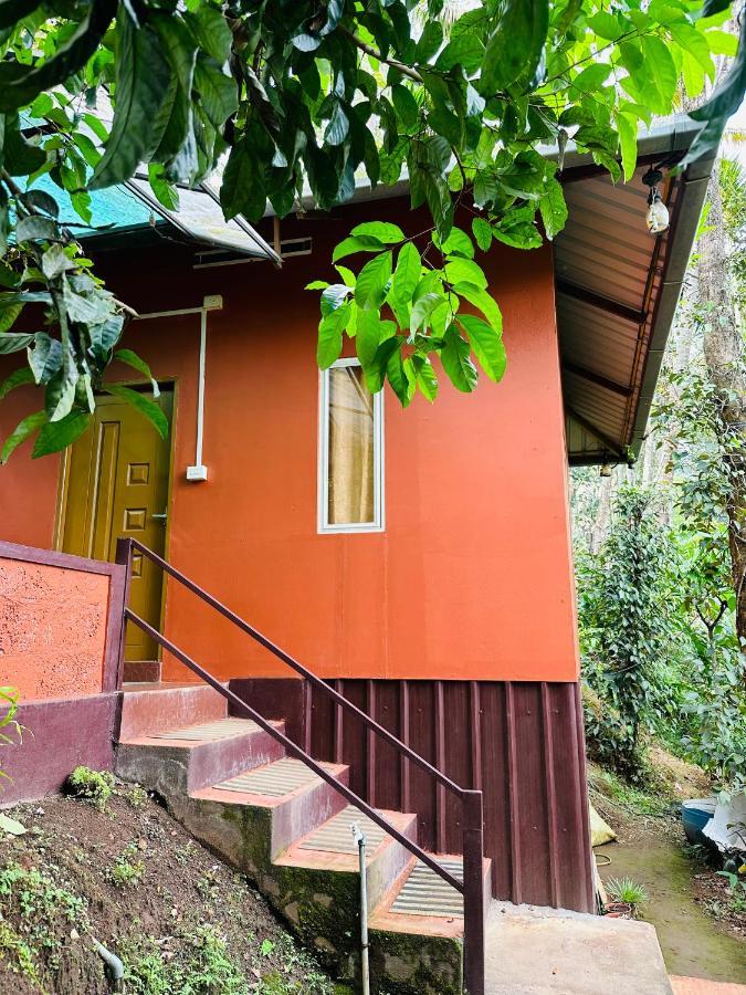 Pepper County Farm Stay Munnar Exterior photo