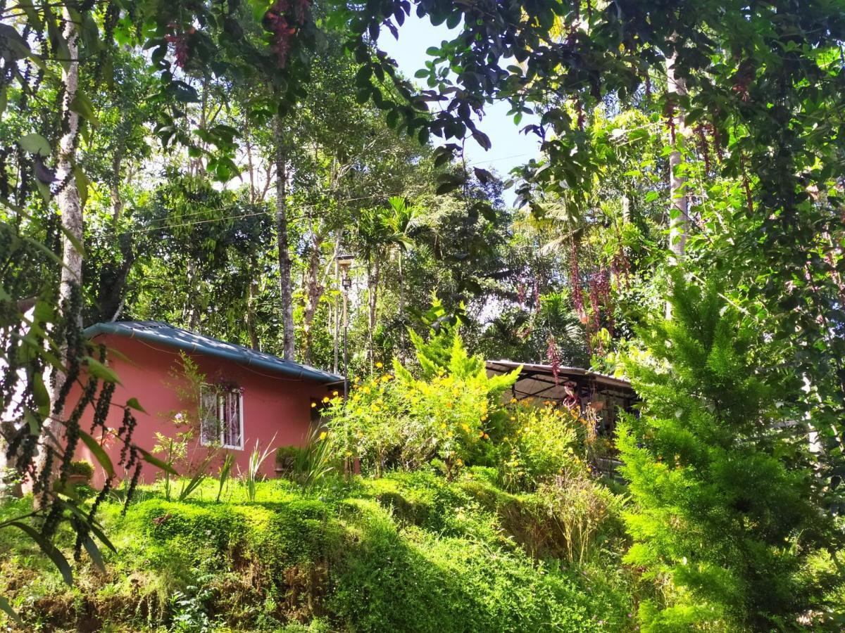 Pepper County Farm Stay Munnar Exterior photo