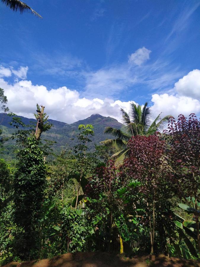 Pepper County Farm Stay Munnar Exterior photo